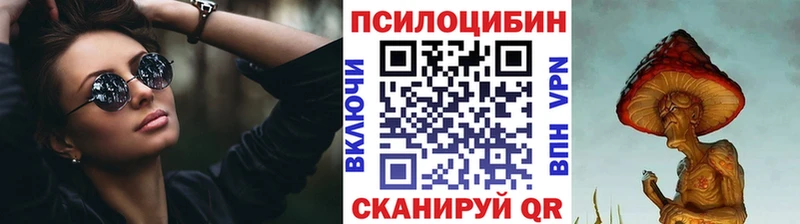 Купить закладки  Вельск  Галлюциногенные грибы мицелий 